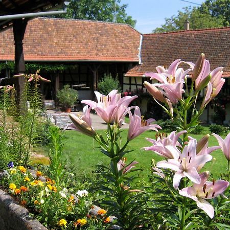 Le Gite Des Ecureuils Schalkendorf Ngoại thất bức ảnh