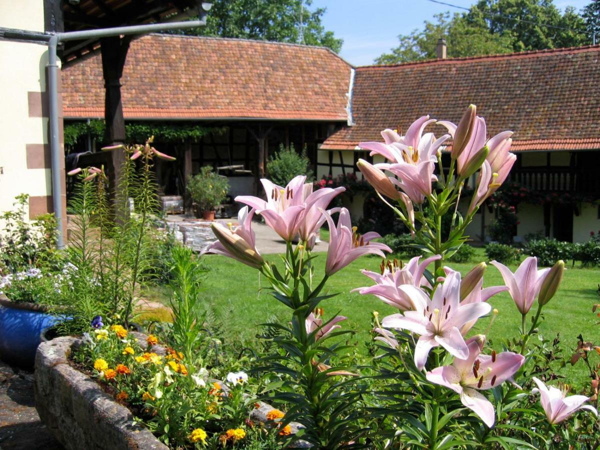 Le Gite Des Ecureuils Schalkendorf Ngoại thất bức ảnh