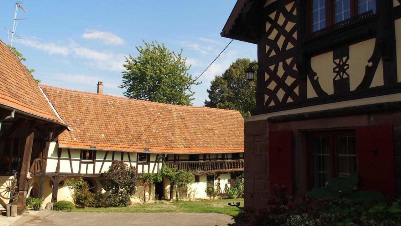 Le Gite Des Ecureuils Schalkendorf Ngoại thất bức ảnh