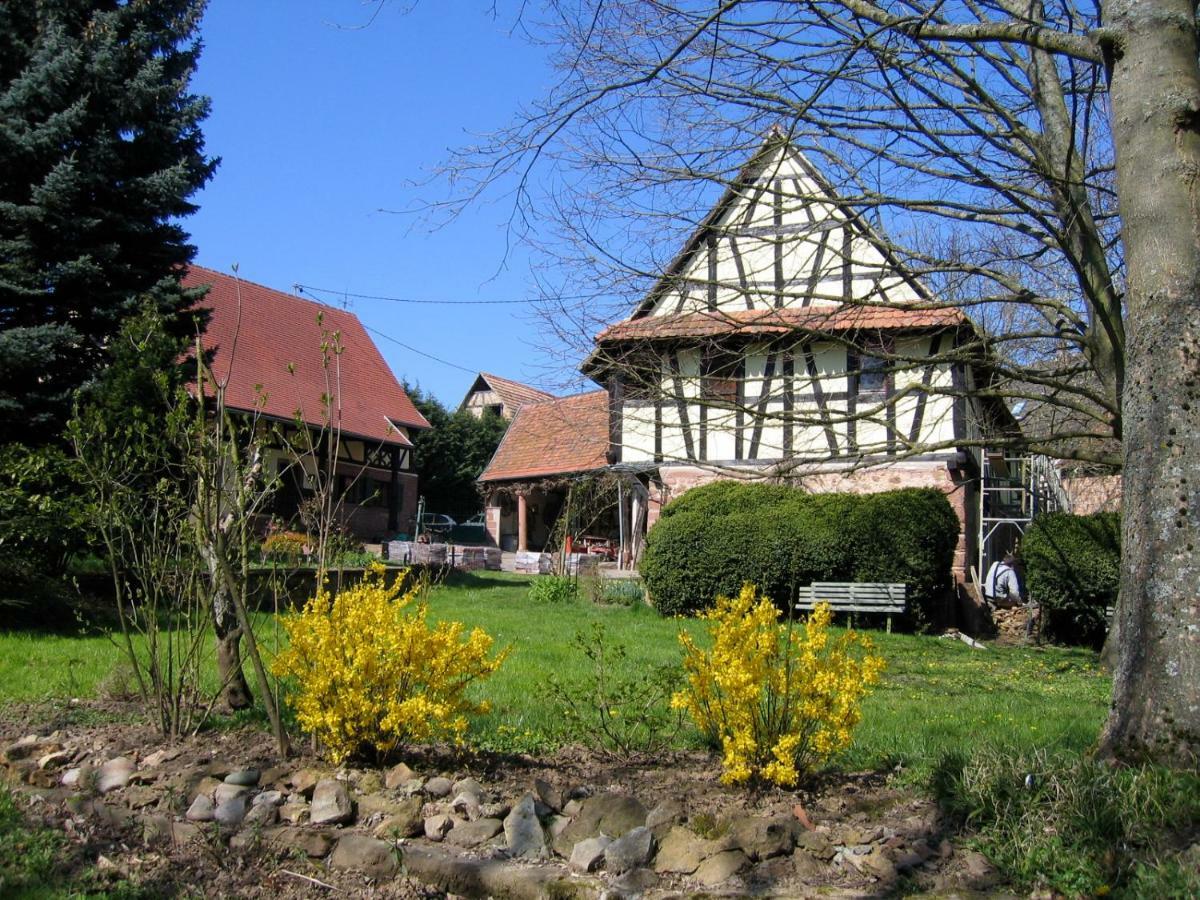 Le Gite Des Ecureuils Schalkendorf Ngoại thất bức ảnh