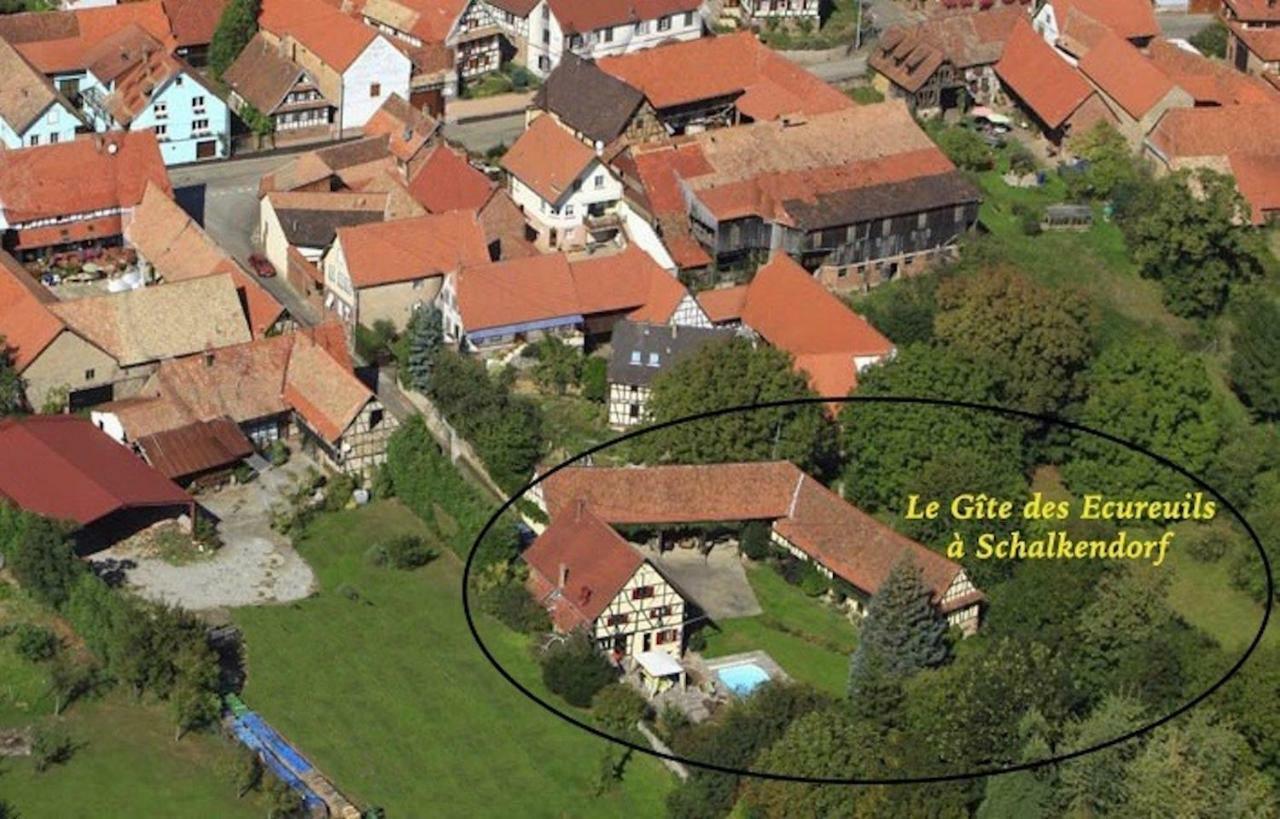 Le Gite Des Ecureuils Schalkendorf Ngoại thất bức ảnh